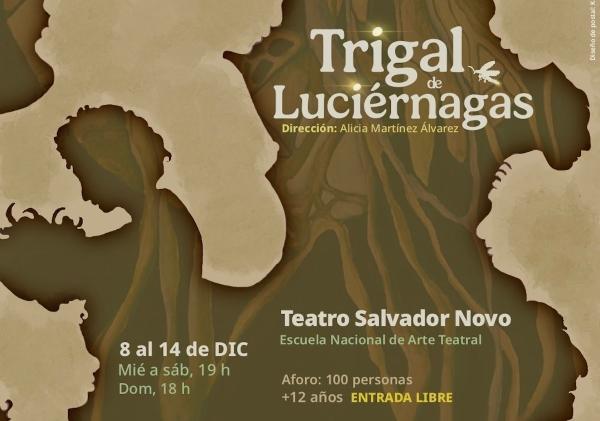 Trigal de luciérnagas- Dirección: Alicia Martínez Álvarez