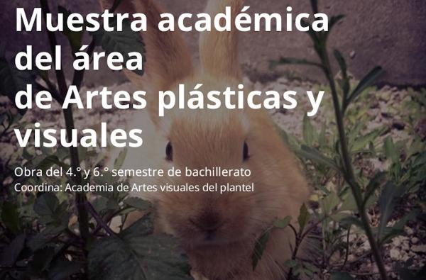 Muestra académica de Artes plásticas y visuales- 4.º y 6.º semestres de bachillerato del Cedart Diego Rivera
