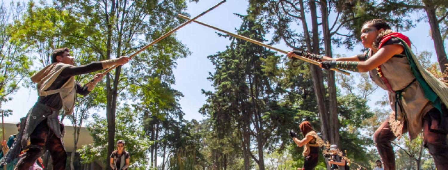 La Leyenda de Robin Hood  