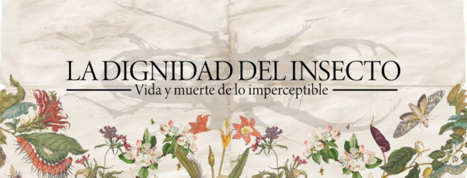 La dignidad del insecto: vida y muerte de lo imperceptible