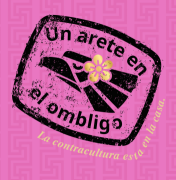 Un arete en el ombligo. La contracultura está en la casa- Exposición temporal
