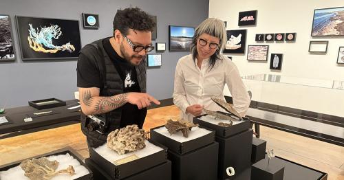 Estado suspendido, de TRES (Ilana Boltvinik y Rodrigo Viñas)- Exposición temporal