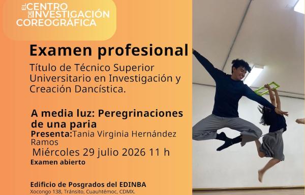 A media luz: peregrinaciones de una paria- Examen profesional de Tania Virginia Hernández Ramos