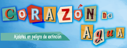 Flyer de Ayólotl: Corazón de agua