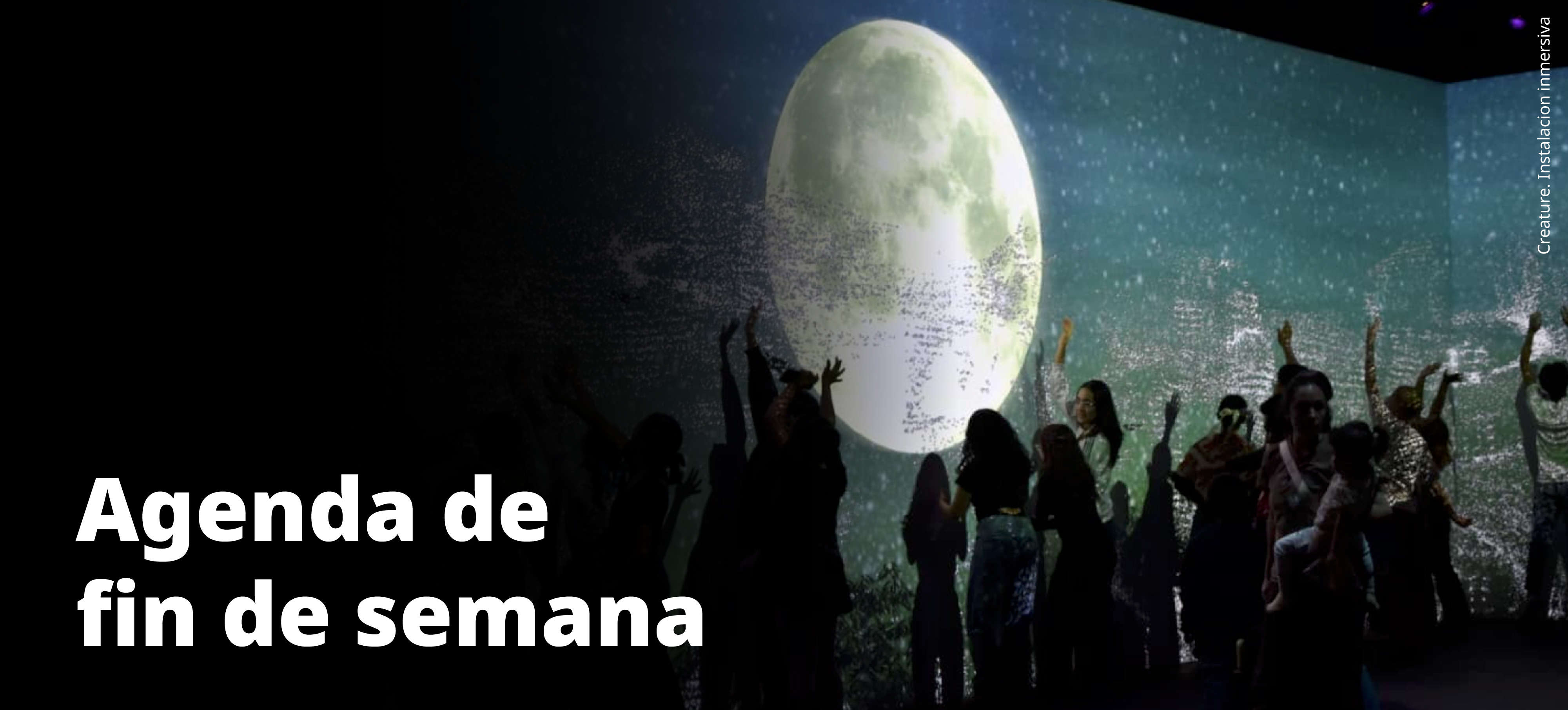 Agenda fin de semana