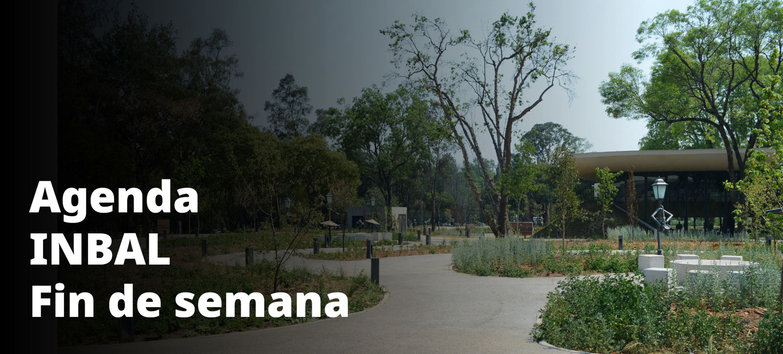 Agenda fin de semana