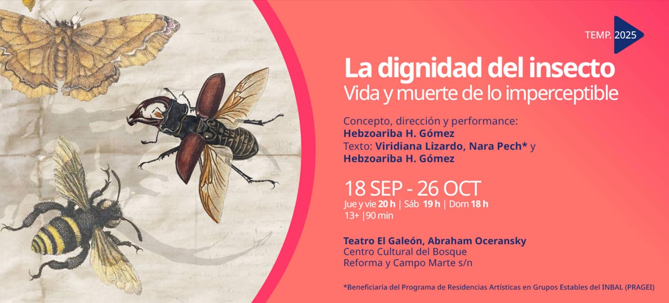 La dignidad del insecto: vida y muerte de lo imperceptible