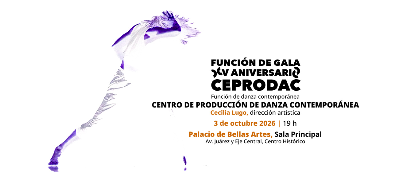 Función de Gala XV Aniversario
