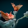 Sangrantina, Essay on Oneiric Flora, Modelado 3D. 2020