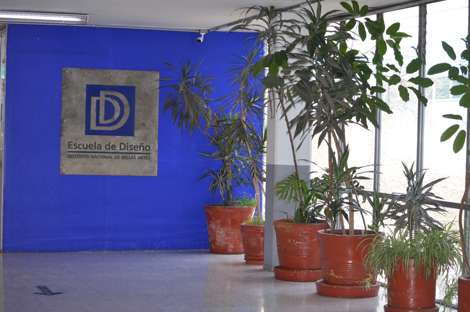 Cumple la Escuela de Diseño 62 años formando profesionistas en México ...