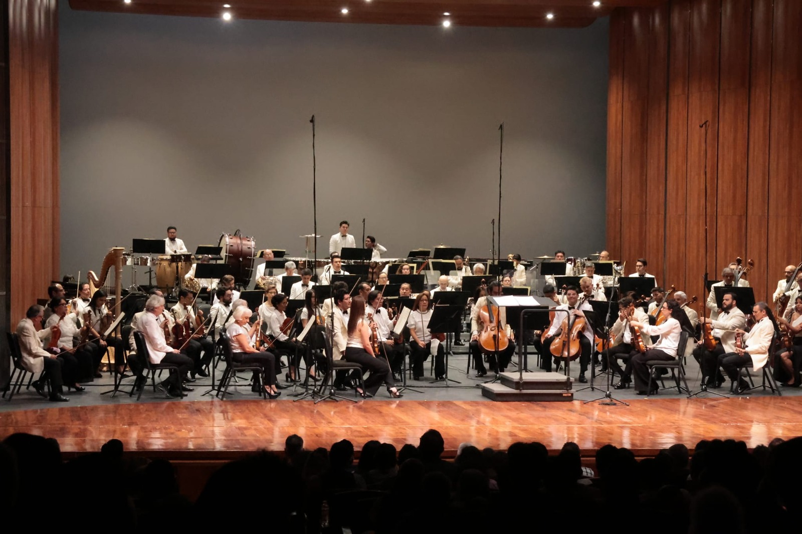 <p><strong>La Orquesta Sinfónica Nacional inicia temporada con <em>Obertura festiva</em>, de Carlos Vidaurri, dedicada al Palacio de Bellas Artes</strong></p>

