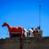 Caballitos en la carretera, México, 2018