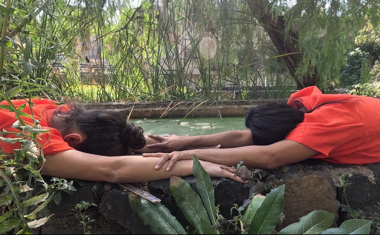 CENTRO DE INVESTIGACIÓN COREOGRÁFICA Y COLECTIVO CAUDAL PRESENTAN CONVERSATORIO SOBRE ECOPEDAGOGÍA Y DANZA | Prensa INBA - Instituto Nacional de Bellas Artes | Danza