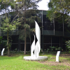 Miguel Silva