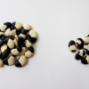 ​Semillas de pallares peruanos (Phaseolus lunatus) utilizadas para la investigación del proyecto artístico.